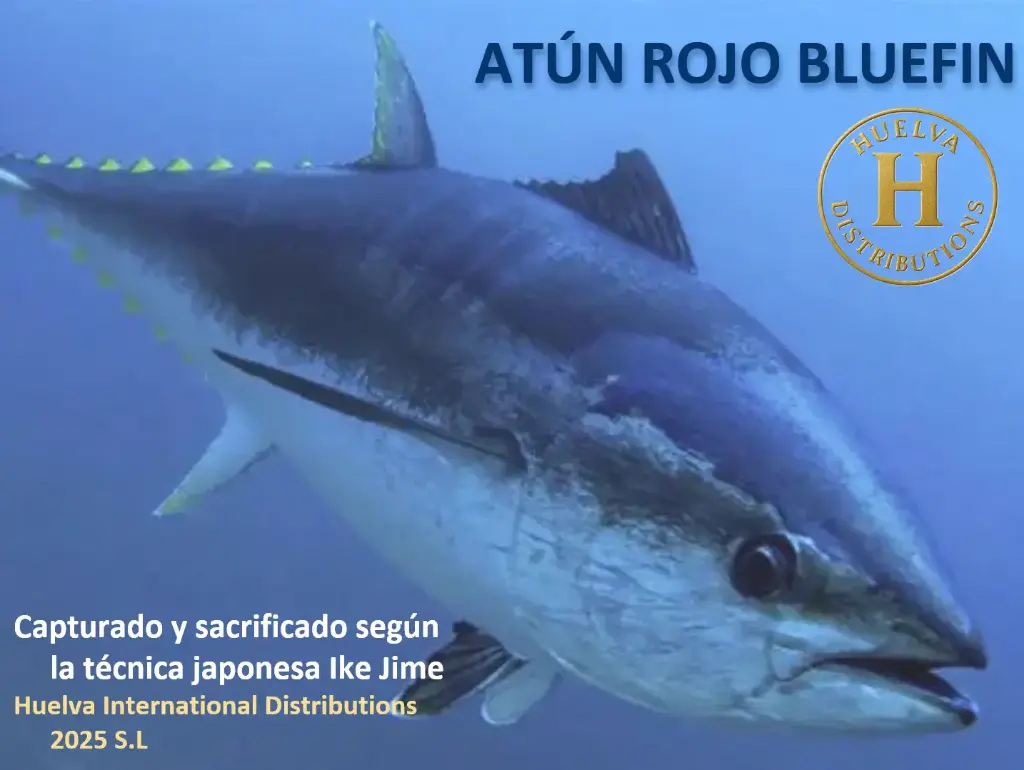 Atún Rojo Salvaje del Estrecho (Ike-Jime)
